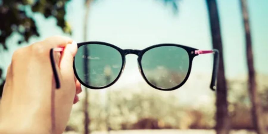 Buy Fred Sunglasses Cheap