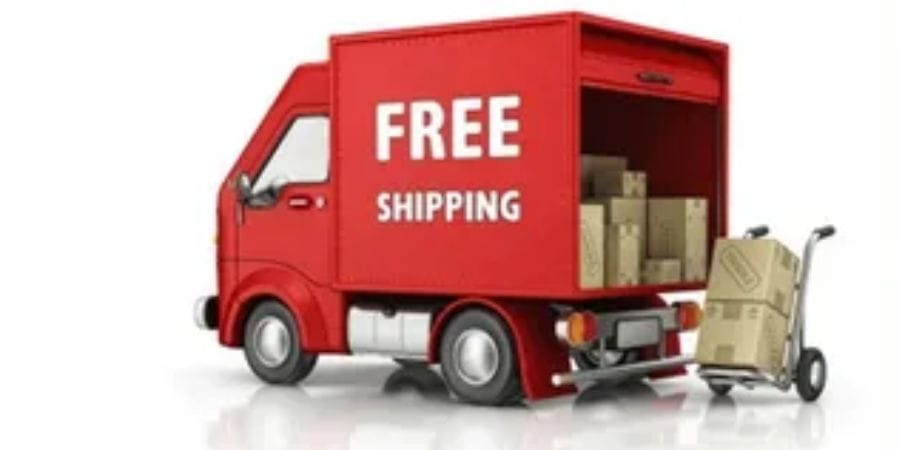 When Did Temu Increase Minimum Order for Free Shupping?[2025]