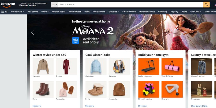 Amazon Online Wholesale Marketplace
