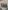 O1CN01w7nOV52IqrTklJNpy 1001219338 0 cib
