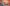 free shipping tiktok shop code